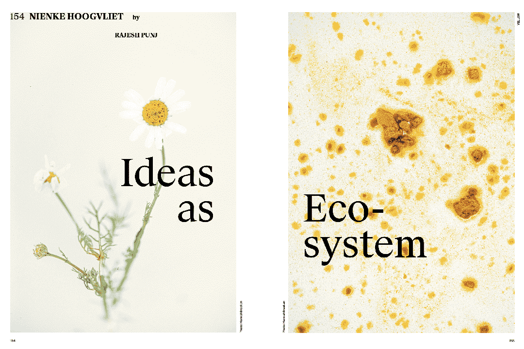 Nienke Hoogvliet, Ideas as Eco-System, DAMN (Amsterdam, Antwerp)